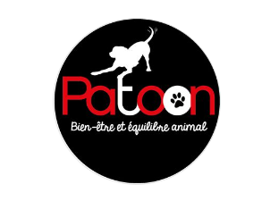 Découvrez la passion chez Patoon, l’animalerie locale